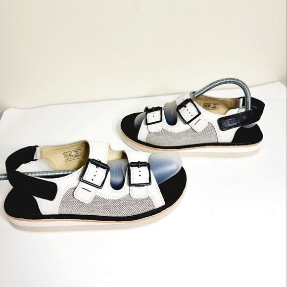 SAS Conga - Picture 1 of 12